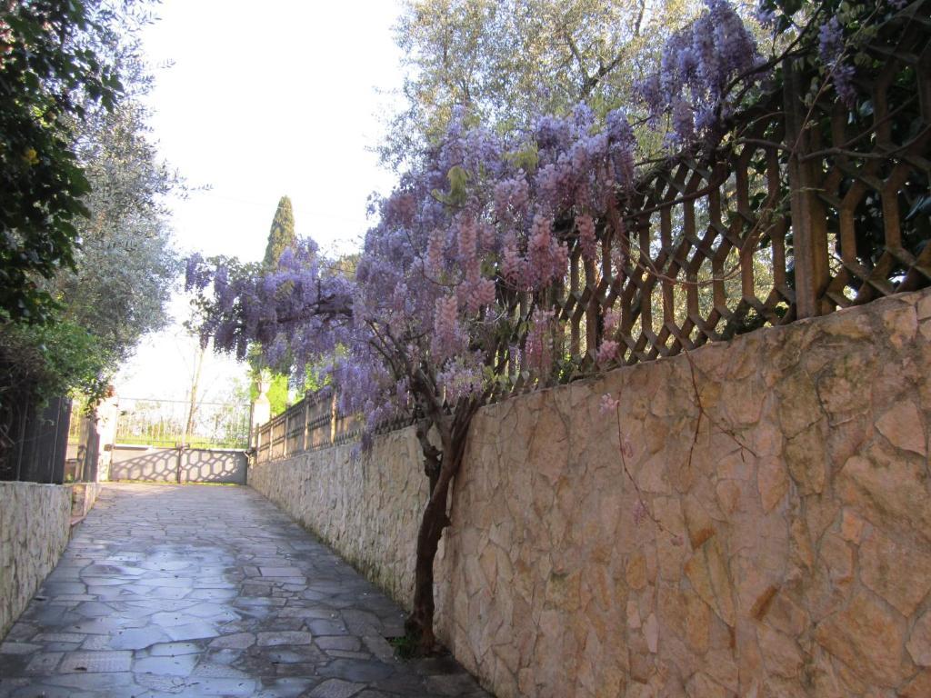 B&B Al Calcandola Sarzana Exterior photo